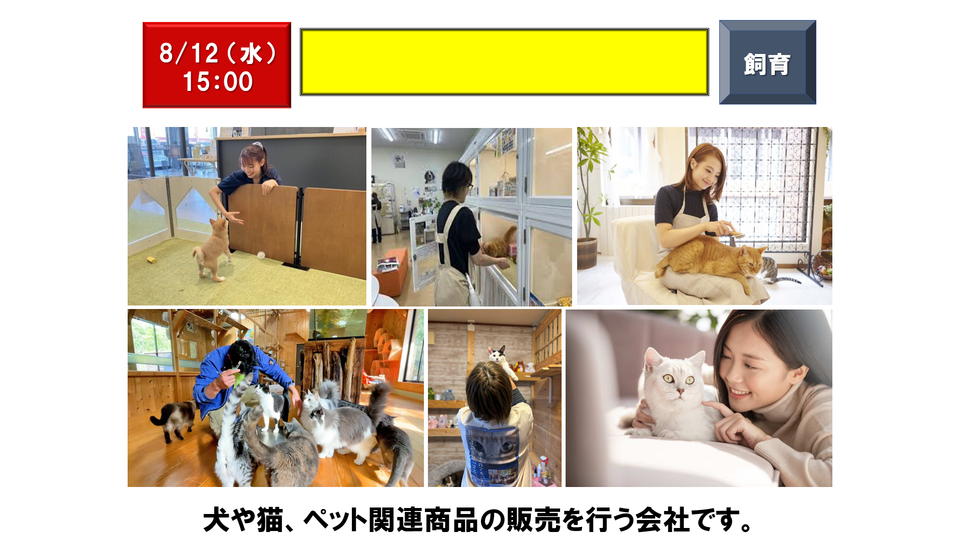 仕事、バイト、正社員